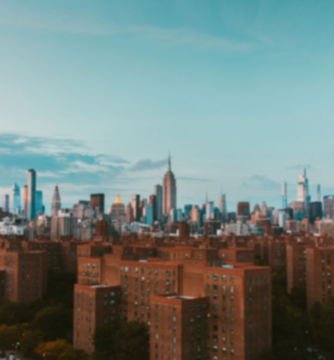 Long Scrub Brush - Image 3